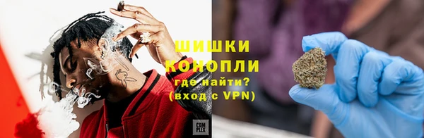 гашик Богородск