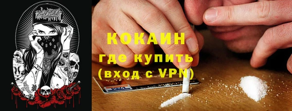 соль ск Богородицк