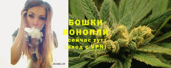 соль ск Богородицк